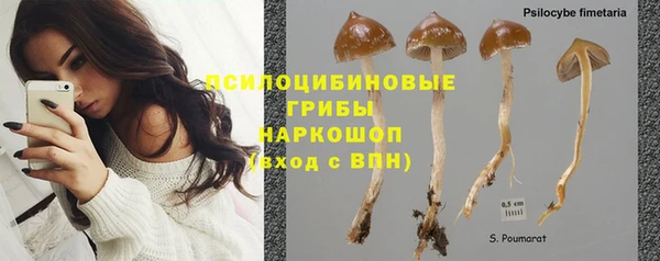 шишки Абинск