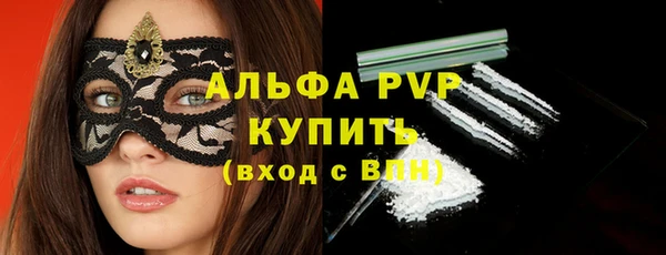 прущие грибы Абдулино