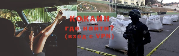 прущие грибы Абдулино