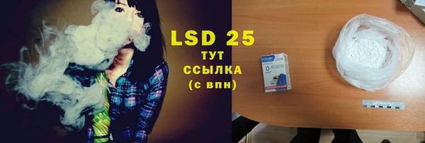 шишки Абинск