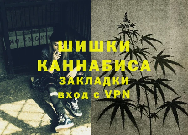 шишки Абинск