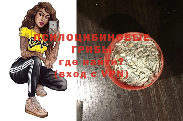 прущие грибы Абдулино