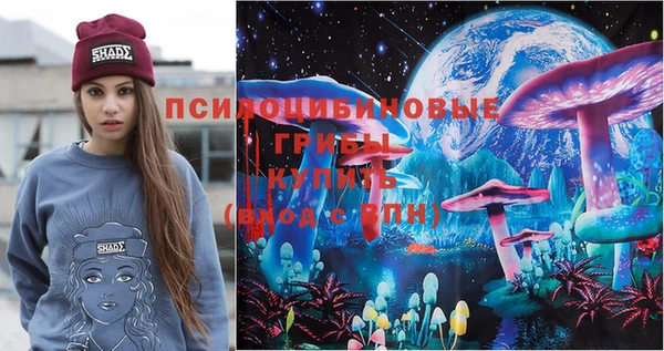 прущие грибы Абдулино