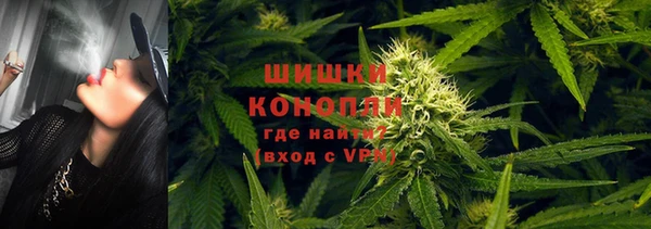 шишки Абинск