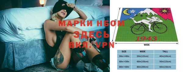 хмурый Надым