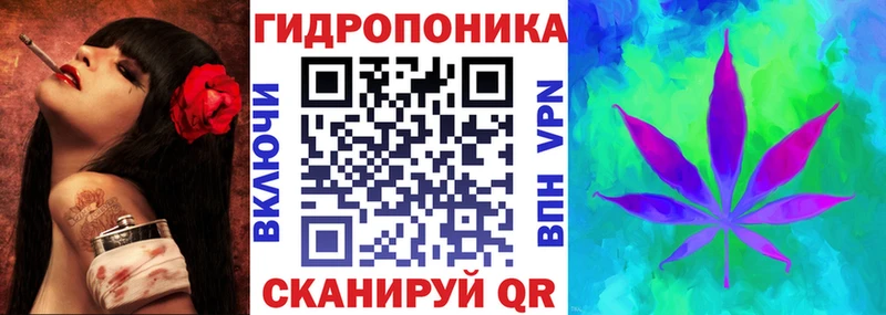 Шишки марихуана марихуана  наркошоп  Невельск 